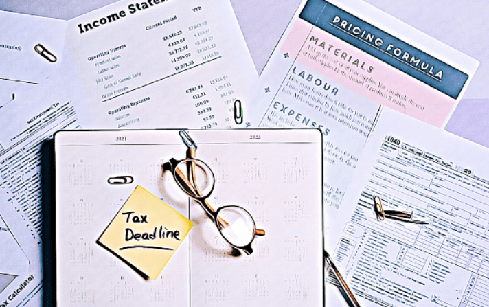 Tax Software vs Tax Professionals